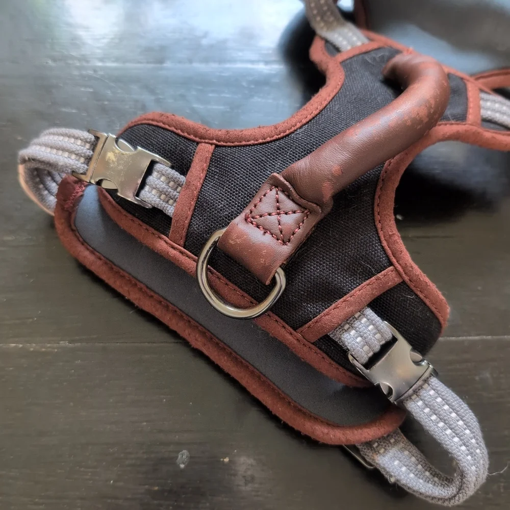 Reddy dog harnesses